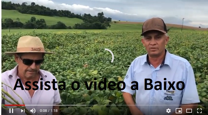 Você está visualizando atualmente Soja 95R90 plantado na propriedade de Avelino Canzi