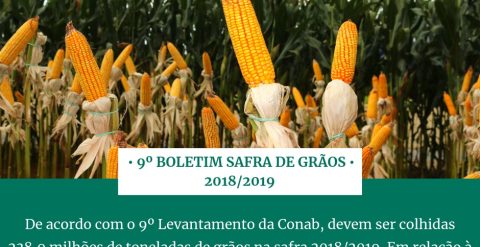 Boletim safra de grãos – 2018/2019