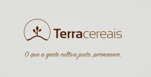 🌅 Relatório de Abertura — 20/08/2026