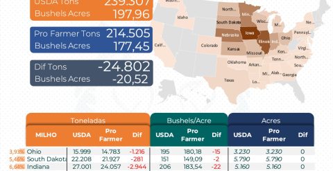Crop Tour Dia 3: Illinois e Iowa Confirmam Queda na Produtividade do Milho